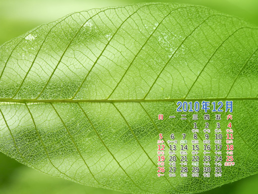 403861 (a): :1024x768